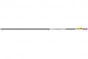 Easton Avance Sport carbon nuoli 12 kpl
