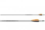 Easton xx75 Platinum Plus nuoli 12 kpl