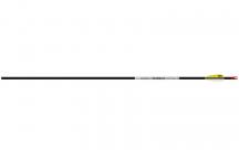 Easton Avance Sport carbon nuoli 12 kpl