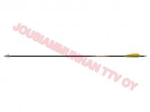 Beman ICS bowhunter