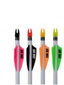 AAE Max 2.0