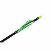 Spider Invictus 2-3/4"