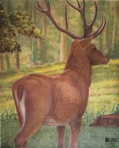 Hirvi