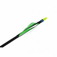 Spider Invictus 2-3/4"