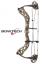 Bowtech Carbon Icon